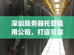 深圳服务器托管租用公司，打造可靠、高效的企业IT解决方案