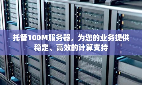 托管100M服务器，为您的业务提供稳定、高效的计算支持