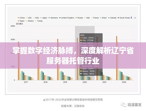 掌握数字经济脉搏，深度解析辽宁省服务器托管行业