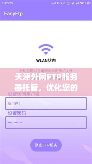 天津外网FTP服务器托管，优化您的网络业务和提升效率的可靠选择