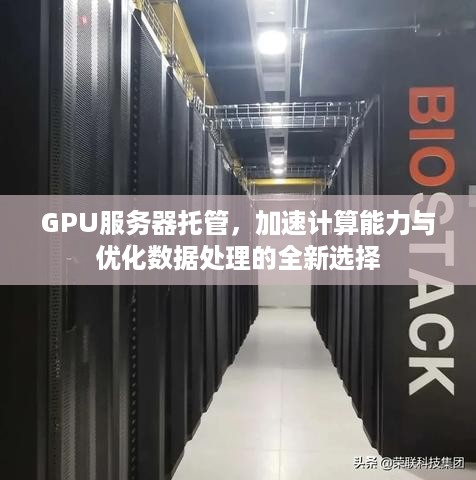 GPU服务器托管，加速计算能力与优化数据处理的全新选择