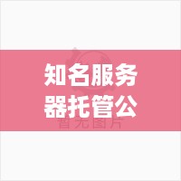 知名服务器托管公司，提供稳定可靠服务的行业翘楚