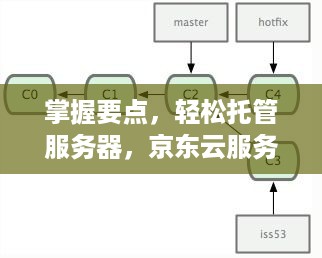 掌握要点，轻松托管服务器，京东云服务器托管全解析