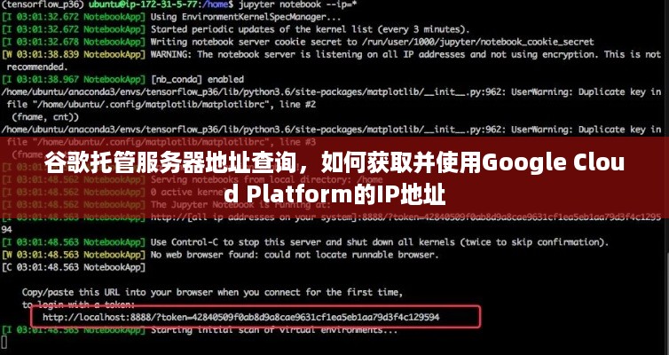 谷歌托管服务器地址查询，如何获取并使用Google Cloud Platform的IP地址