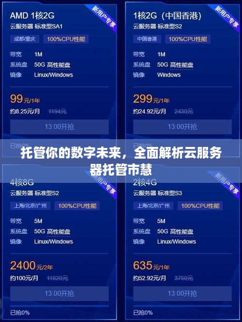 托管你的数字未来，全面解析云服务器托管市慧