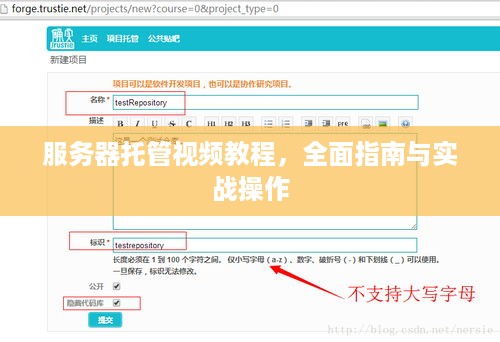 服务器托管视频教程，全面指南与实战操作