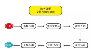 服务器托管视频教程，全面指南与实战操作