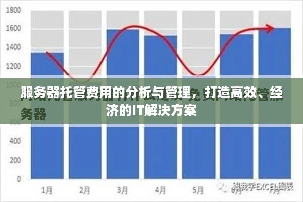 服务器托管费用的分析与管理，打造高效、经济的IT解决方案