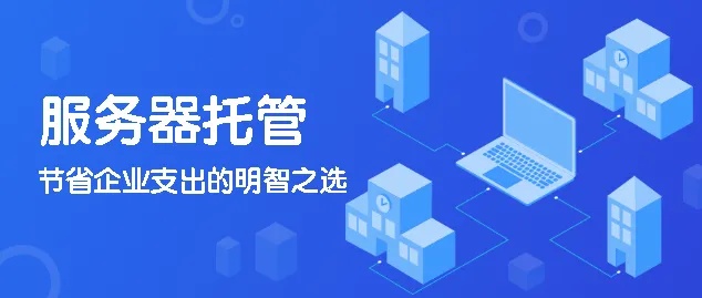 服务器托管费用的分析与管理，打造高效、经济的IT解决方案