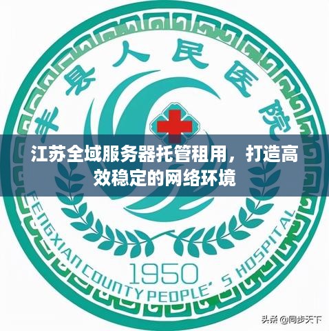 江苏全域服务器托管租用，打造高效稳定的网络环境