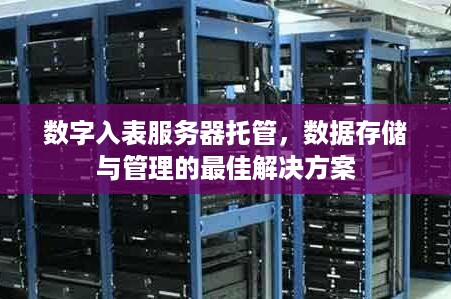 数字入表服务器托管，数据存储与管理的最佳解决方案