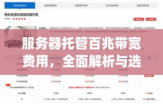 服务器托管百兆带宽费用，全面解析与选择指南