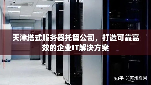 天津塔式服务器托管公司，打造可靠高效的企业IT解决方案