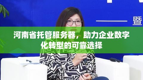 河南省托管服务器，助力企业数字化转型的可靠选择