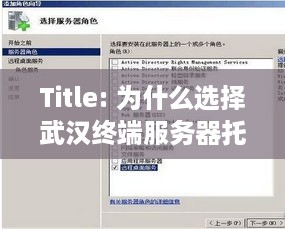 Title: 为什么选择武汉终端服务器托管公司？