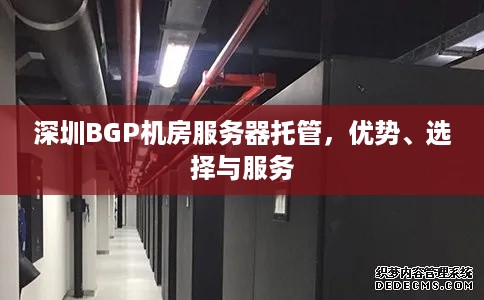 深圳BGP机房服务器托管，优势、选择与服务