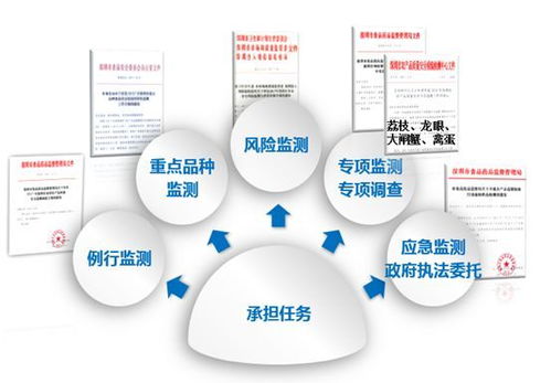 浙江服务器托管安全问题解析与防范措施