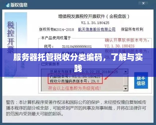 服务器托管税收分类编码，了解与实践