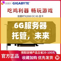 6G服务器托管，未来的计算基础设施