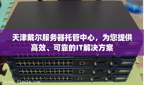 天津戴尔服务器托管中心，为您提供高效、可靠的IT解决方案