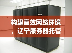 构建高效网络环境，辽宁服务器托管机柜加工的深度解析