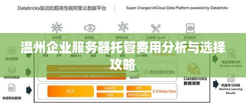 温州企业服务器托管费用分析与选择攻略