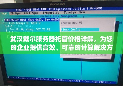 武汉戴尔服务器托管价格详解，为您的企业提供高效、可靠的计算解决方案