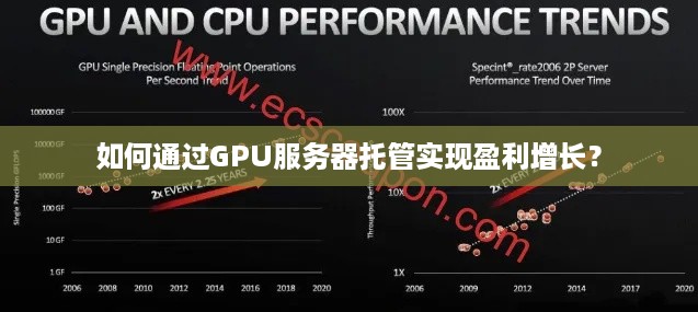 如何通过GPU服务器托管实现盈利增长？