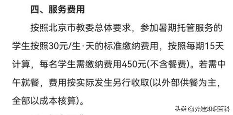 网通服务器托管收费详解，如何根据需求选择合适的方案