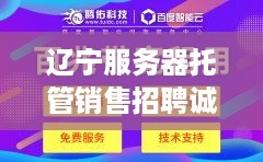 辽宁服务器托管销售招聘诚邀您的加入，共享丰厚收益与广阔发展空间！