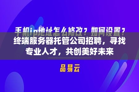 终端服务器托管公司招聘，寻找专业人才，共创美好未来