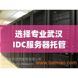 选择专业武汉IDC服务器托管公司，搭建高效稳定的企业网络环境