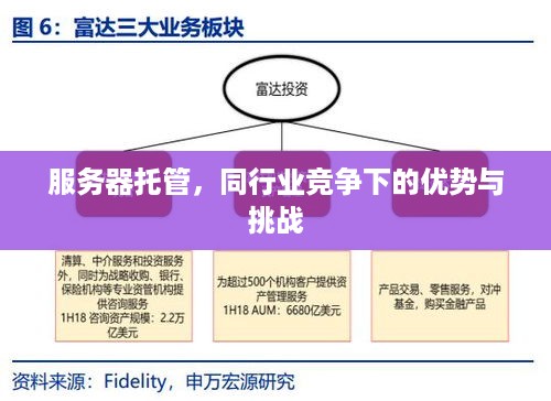 服务器托管，同行业竞争下的优势与挑战