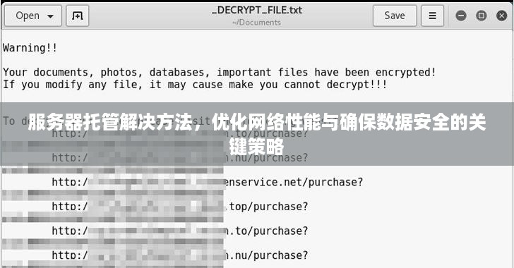 服务器托管解决方法，优化网络性能与确保数据安全的关键策略
