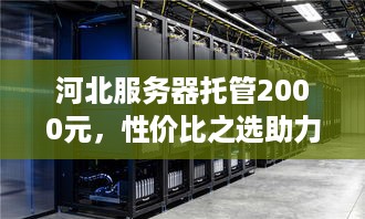 河北服务器托管2000元，性价比之选助力企业腾飞