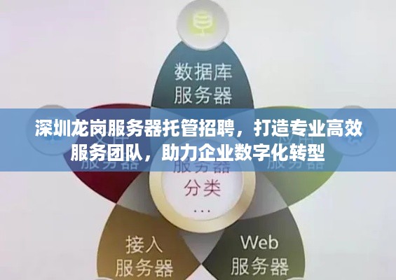 深圳龙岗服务器托管招聘，打造专业高效服务团队，助力企业数字化转型