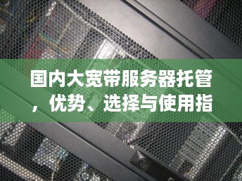 国内大宽带服务器托管，优势、选择与使用指南