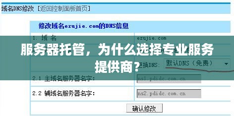 服务器托管，为什么选择专业服务提供商？