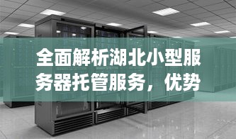 全面解析湖北小型服务器托管服务，优势、选择与注意事项