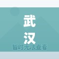 武汉内网FTP服务器托管，让您的文件传输更安全、高效