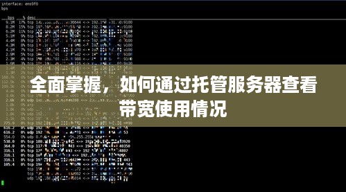 全面掌握，如何通过托管服务器查看带宽使用情况