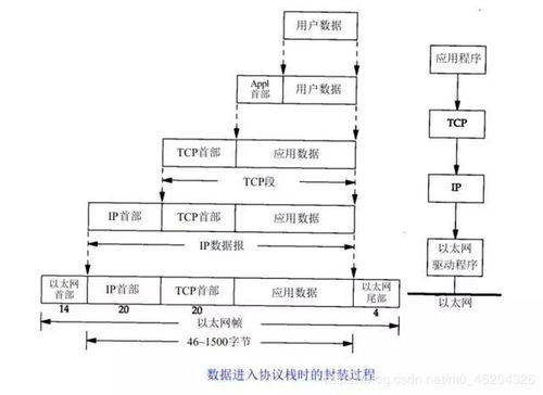 服务器托管合同样本，确保业务稳定运行的关键要素