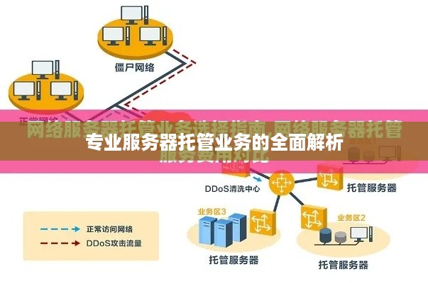 专业服务器托管业务的全面解析