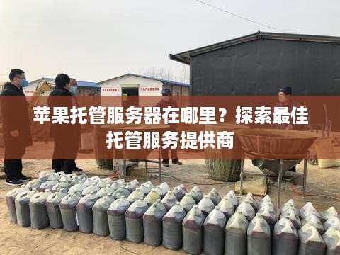 苹果托管服务器在哪里？探索最佳托管服务提供商