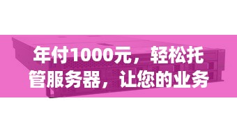 年付1000元，轻松托管服务器，让您的业务无忧无虑！