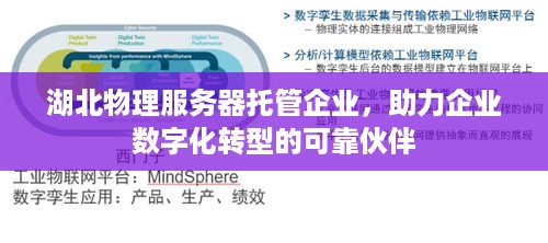 湖北物理服务器托管企业，助力企业数字化转型的可靠伙伴