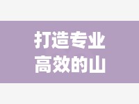 打造专业高效的山东服务器托管销售公司