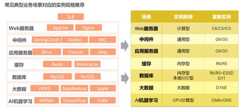 探讨哪些应用适合服务器托管，一篇全面指南