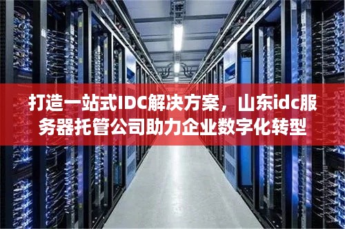 打造一站式IDC解决方案，山东idc服务器托管公司助力企业数字化转型