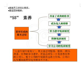 服务器托管的安装方法，详细指南与实践经验